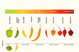 Measuring Heat - Scoville Scale