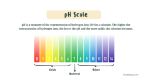 The pH Scale